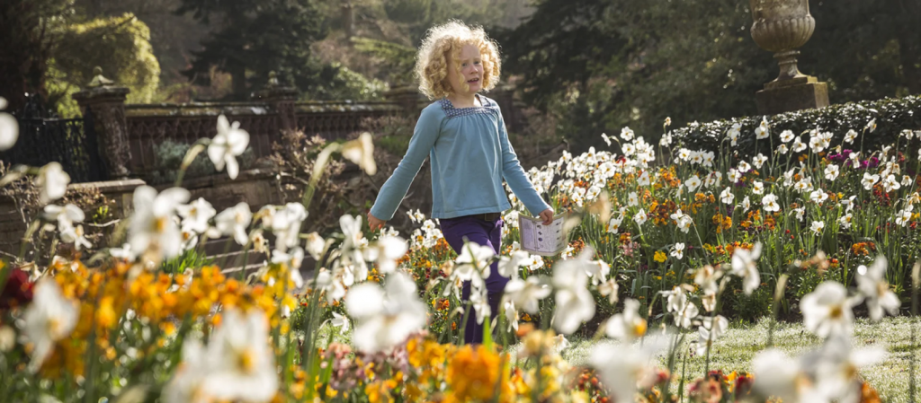 Source: National Trust