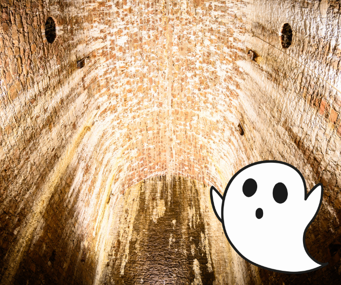 This image has an empty alt attribute; its file name is Untitled-design-2-1.png